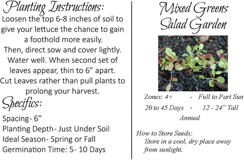 Liliana's Garden 40 Mesclun Mix Salad Green Seeds Fast-Growing Lettuce-free Salad Mix Harvest in Days | Never GMO
