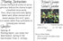 Liliana's Garden 40 Mesclun Mix Salad Green Seeds Fast-Growing Lettuce-free Salad Mix Harvest in Days | Never GMO