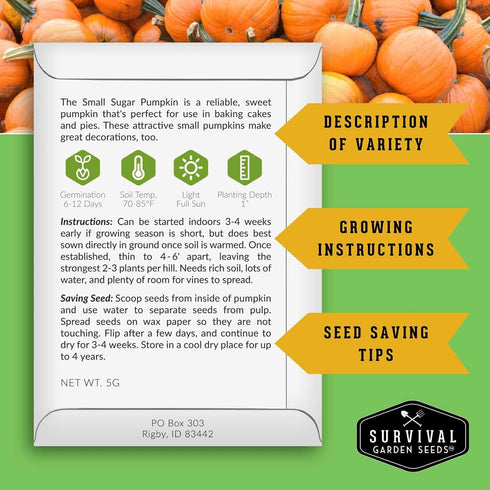 (5 Packs) Small Sugar Pumpkin Seeds for Planting Heirloom Sugar Pie Pumpkins, Sweet Baking Variety for Home Gardens