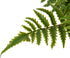 Briful 2PCS Faux Fern Eucalyptus Potted Plants, Artificial Greenery Décor for Indoor Home Office Bathroom