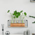 5 YIBOT Propagation Stations, Plant Terrarium with Wooden Stand, Glass Test Tubes Vases, Birthday Gardening Gifts