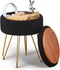 Wimarsbon Storage Ottoman,Teddy Velvet Vanity Stool,Soft Padded Seat,Round Footrest with Removable Cover
