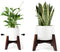 Seanmi Plant Stands for Indoor Plants, Bamboo Plant Stand, Mid Century Plant