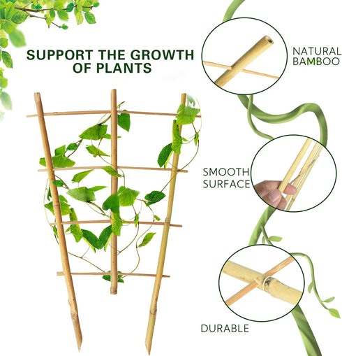 10 Pack, 16 Inches S3 Bamboo Trellis Natural Bamboo Plant Fan Stakes, Fan-Shaped Plant Support Stand for Orchid Vines