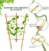 10 Pack, 16 Inches S3 Bamboo Trellis Natural Bamboo Plant Fan Stakes, Fan-Shaped Plant Support Stand for Orchid Vines