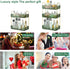 LileZbox Bathroom Counter Organizer, Skincare Organizer Perfume Holder for Dresser Countertop