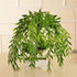 CATTREE Artificial Weeping Willow, Plastic Plants Greenery Leaves, Fake Hanging Vine Faux Ivy Garland, 4 Pack