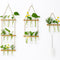 Leumoi 3 Pcs Wall Hanging Plant Propagation Station with Wooden Stand, 18