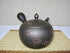 YAMAKIIKAI 15.6 L339 (1) Japanese Large Kyusu Tokoname Handmade Clay Teapot Fluid Ounces Shunjuu Scarlet Crest Pattern