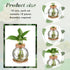 12 Packs Baderke Propagation Vases for Plants Plastic Plant Propagation Station with Hole Lid and Cork Coasters Plant
