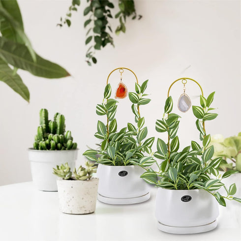 2PCS Small Plant Gold Trellis Indoor, Mini Metal Houseplant Decor Support for Potted Ivy Vine, Boho Garden Decorative