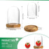 5.1" 3.9" ZEERSHEE Small Cloche Glass Dome with Wooden Base, Glass Display Dome Bell Jar for Plants, Keepsakes