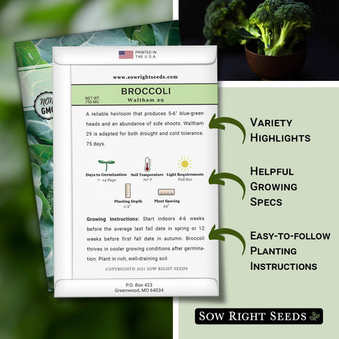 29 Packet (4) Sow Right Seeds - Waltham Broccoli Seeds for Planting - Non-GMO Heirloom with Instructions to Plant an
