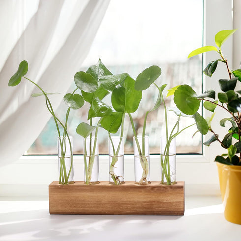 5 YIBOT Propagation Stations, Plant Terrarium with Wooden Stand, Glass Test Tubes Vases, Birthday Gardening Gifts