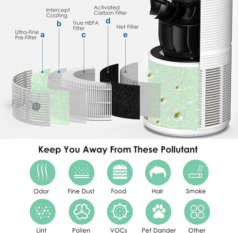 RP-AP089-F2 Replacement Filter for RENPHO, H13 True HEPA Filters with Intercept Coating, Green 1-Pack