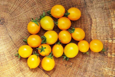 50+ Yellow Balcony Tomato Seeds Seeds for Planting Indoors and Outdoors