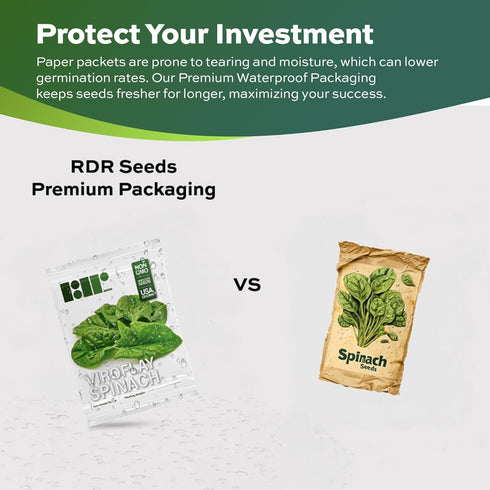 500 Packaging Heirloom Viroflay Spinach Seeds for Planting - Seeds - Heirloom, Non-GMO, USA Grown, Premium Waterproof