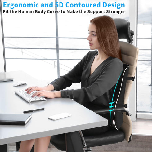 3D Lumbar Support Pillow,Memory Foam Back Support for Office Chair,Computer Chair,Car Seat,Recliner and Couch