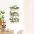 3 21 Mkono Plant Propagation Tubes, Tiered Wall Hanging Terrarium with Wooden Stand & Test Tube Vases for Hydroponic