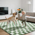 Room,5x8 Area Rugs for Bedroom Living Green and White Fluffy Soft Checkered Rug Fuzzy Shag Shaggy Carpet, Indoor Plush