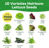 10 Heirloom Lettuce Seeds - Varieties, Non-GMO Seeds for Planting - Includes Spinach, Kale, Arugula, Romaine, Iceberg