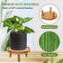 ARTORA 2PCS) Mid Century Modern Plant Stand, Wood Indoor Plant Holder Succulents Plant Pot Raiser Decorative Corner