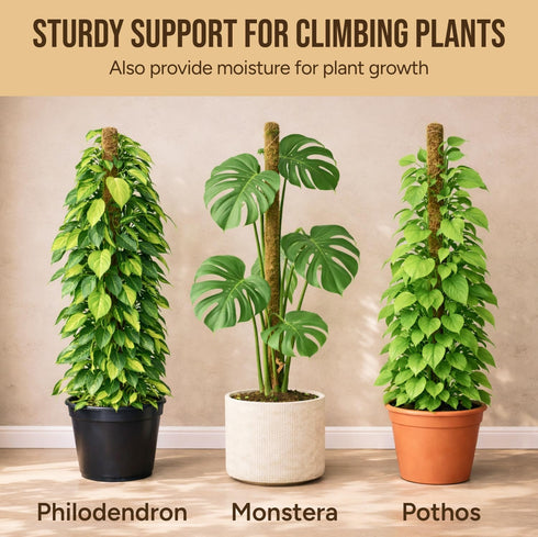 Craft911 2 Pack 28 Moss Pole Monstera Plant Support Bendable Moss Pole Monstera Plant Support, Plant Stakes for Indoor