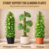 Craft911 2 Pack 28 Moss Pole Monstera Plant Support Bendable Moss Pole Monstera Plant Support, Plant Stakes for Indoor