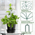 2 Packs 50 AUGSUN Plant Trellis Garden Trellis Plant Stakes Trellis for Climbing Plants Indoor Plants Metal Leaf Shape