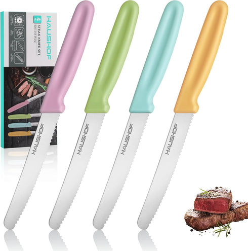 HAUSHOF Steak Knives Set of 4, Premium Stainless Steel Serrated Knife Set with Gift Box, Assorted Color