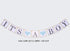 luckylibra Boy Baby Shower Decorations, It is a Boy Banners, Elephant Garland, Paper Lantern, Paper Flower Pom Poms