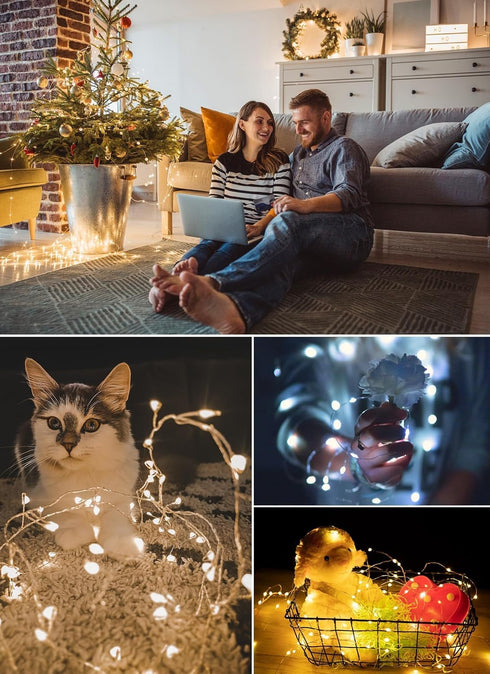 Minetom Color Changing Fairy String Lights, 33 ft 100 LED USB Silver Wire Lights with Remote and Timer, 16 Colors