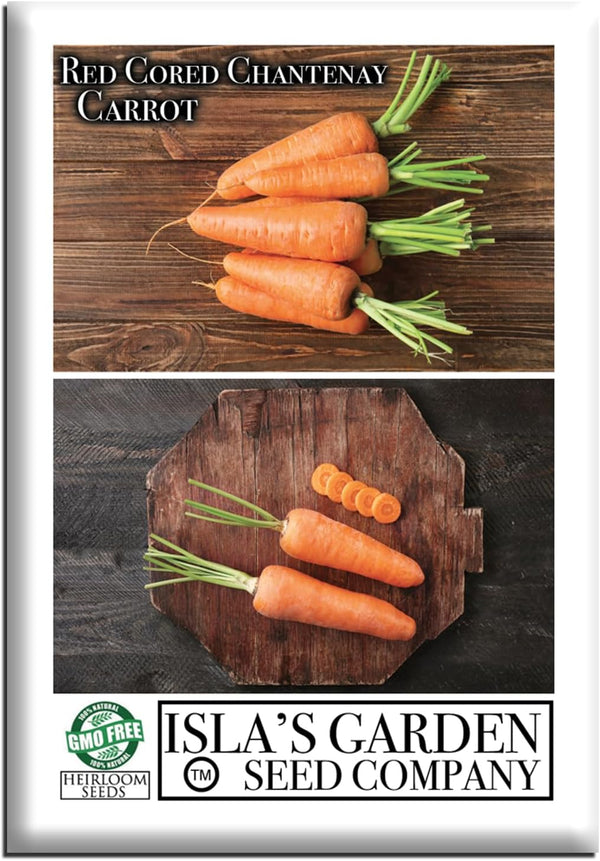 Red Cored Chantenay Carrot Seeds (Daucus carota) 1000+ Heirloom Non-GMO Seeds by