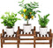 Wood Flower Stand Small Plant Stand Indoor Outdoor Plant Shelf Low Window