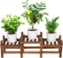 Wood Flower Stand Small Plant Stand Indoor Outdoor Plant Shelf Low Window