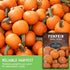 (5 Packs) Small Sugar Pumpkin Seeds for Planting Heirloom Sugar Pie Pumpkins, Sweet Baking Variety for Home Gardens