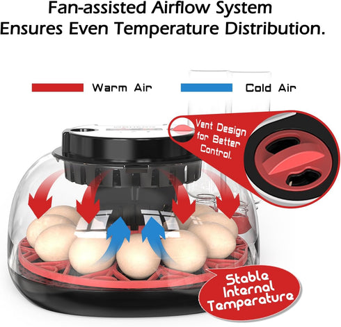 WYD2ANG 12 (M12 Smart Chicken Incubators for Hatching Eggs with Automatic Turner Small Poultry Duck Quail Egg Incubator