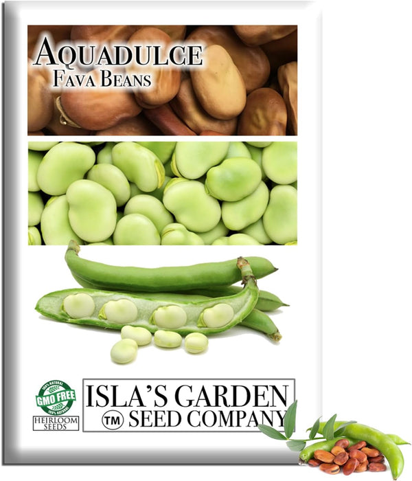 Aquadulce Fava Bean Seeds (Vicia faba) 25 Non-GMO Heirloom Seeds by Islas