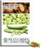 Aquadulce Fava Bean Seeds (Vicia faba) 25 Non-GMO Heirloom Seeds by Islas