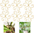 Mewcooss 6pcs Plant Stem Support, Iron Monstera Plants Support, Plant Stem Holder Support