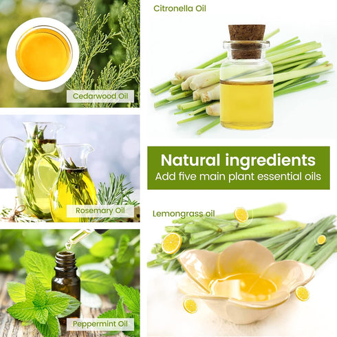 Citronella Incense Cones (65 Cones) with 2 Ceramic Dishes | Made with Plant-Based Ingredients for Indoor & Outdoor