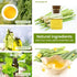Citronella Incense Cones (65 Cones) with 2 Ceramic Dishes | Made with Plant-Based Ingredients for Indoor & Outdoor