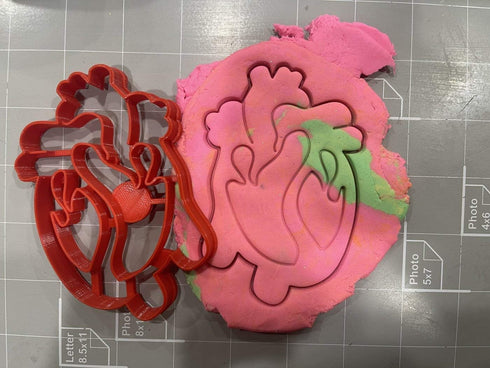 Heart Anatomy Cookie Cutter