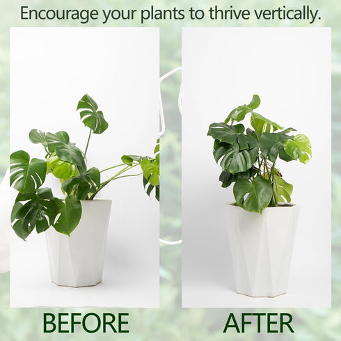 5PCS Set, Plant Stem Support - Durable Monstera Stabilizer Grapple Holder, Unique Design for Climbing Plants, Turtle