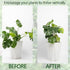 5PCS Set, Plant Stem Support - Durable Monstera Stabilizer Grapple Holder, Unique Design for Climbing Plants, Turtle