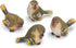 RAZ Imports Striped Wing Bird Resin Decorative Tabletop Figurine, Set of 4, 2.5 x 2.25 inch, Sage Green