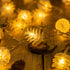 SWEET SHINE 50 25ft Pinecone String Lights, USB Powered Decorative LED Novelty String Lights (Pine Cone)