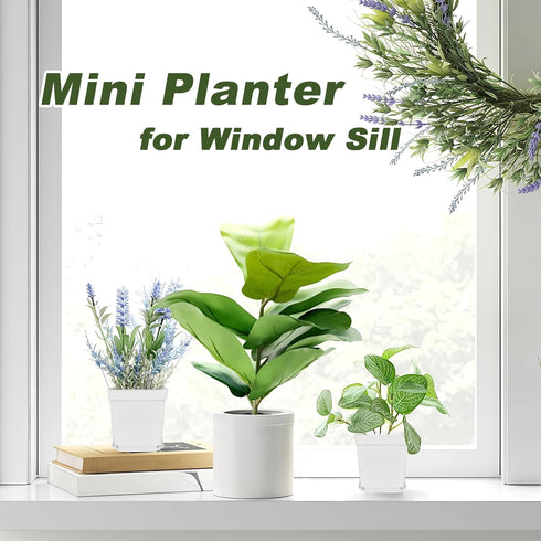 24Pcs 3" Anyumocz Square Plastic Plant Pots,White Nursery Pots with Saucers,Seedling Nursery Transplanting Planter