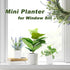 24Pcs 3" Anyumocz Square Plastic Plant Pots,White Nursery Pots with Saucers,Seedling Nursery Transplanting Planter