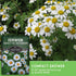 (1 Pack) Feverfew Seeds for Planting - Perennial Daisy-Like Flower Herb, Pollinator Friendly Garden, Easy to Grow